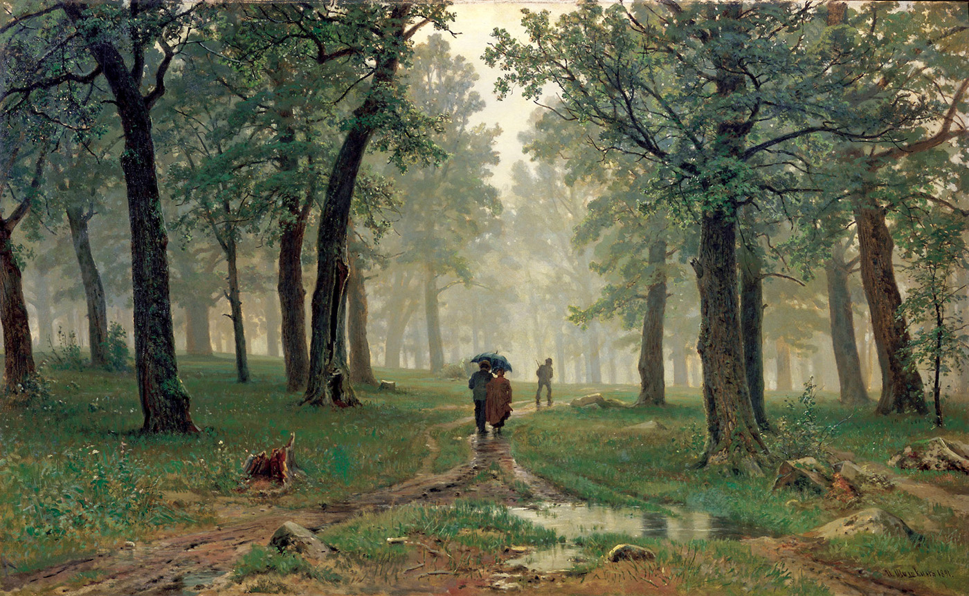 rain in an oak forest